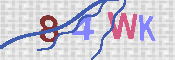 Please type in the letters or numbers that you see in the security box below. (An audio option is available.)